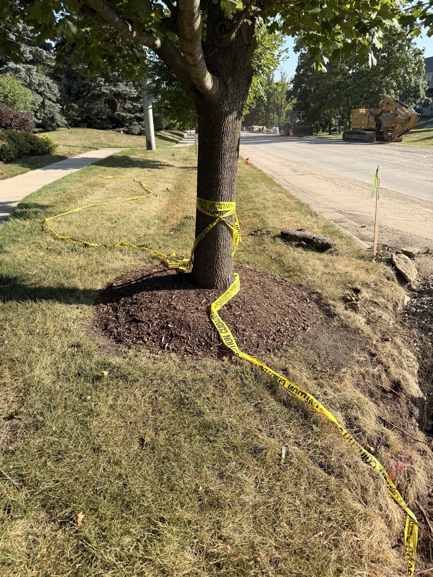 A street tree wrapped in caution tape with the excavator behind it