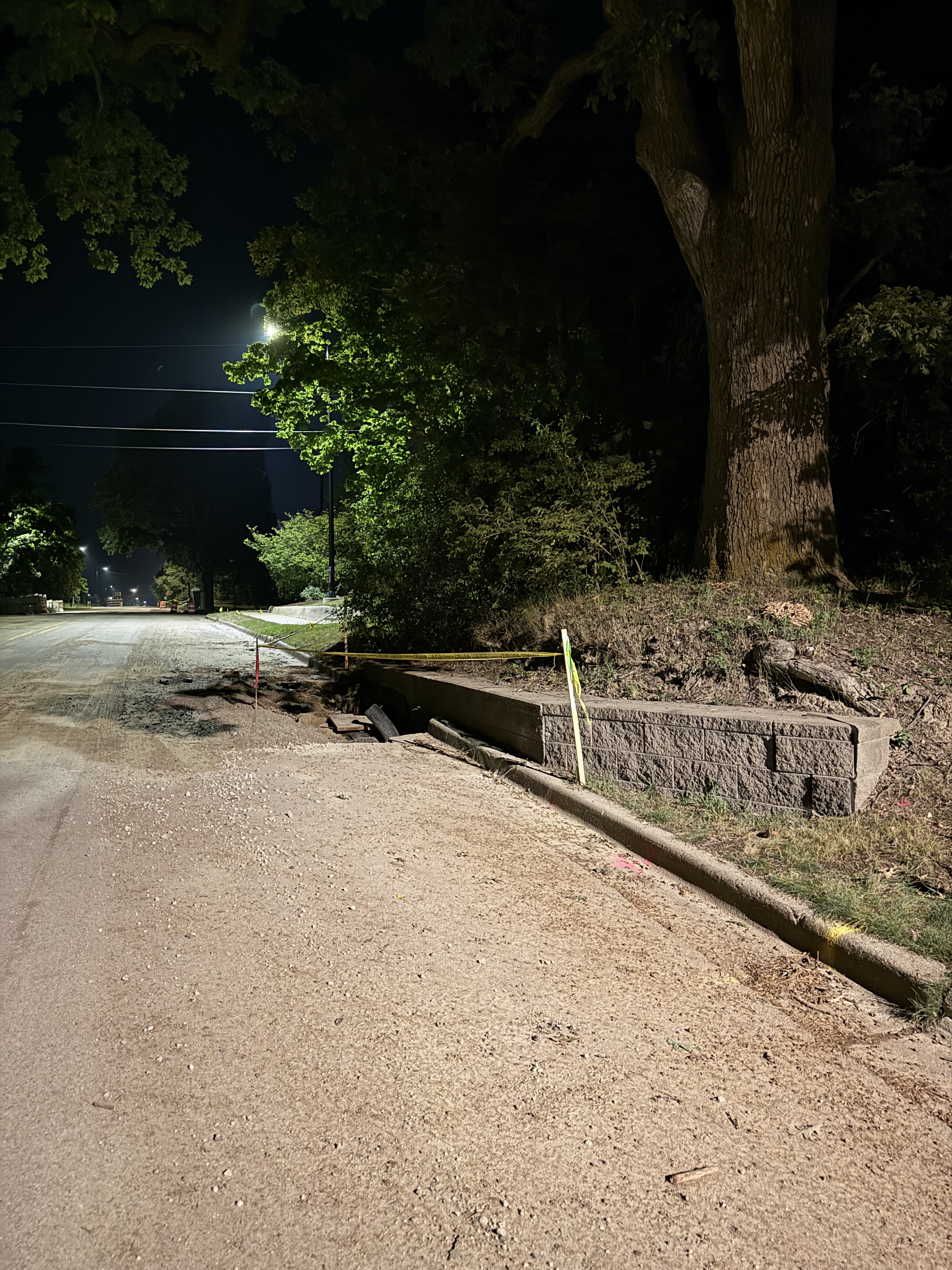 The oak trunk and the open excavation at the curb, feet apart